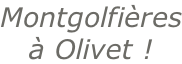 Montgolfières à Olivet !